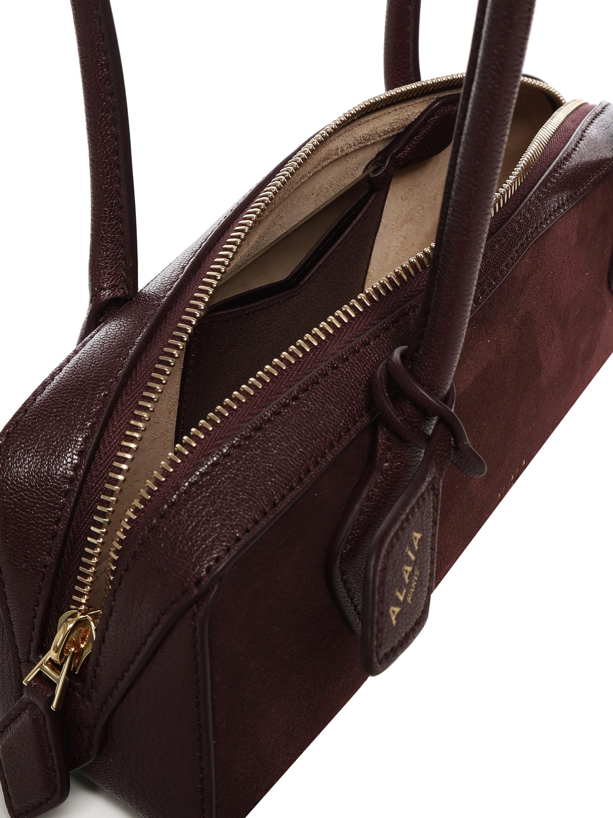Mini bag Le Teckel in pelle AA1S06029CA577 325 ALAIA