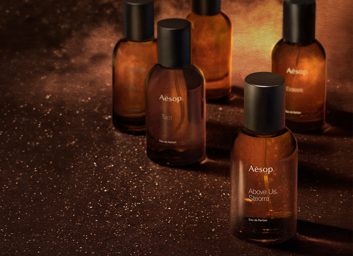 Aesop Donna
