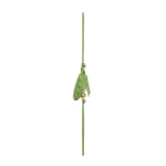 Ciondolo Pea pod C621232XG7 3737 LOEWE 