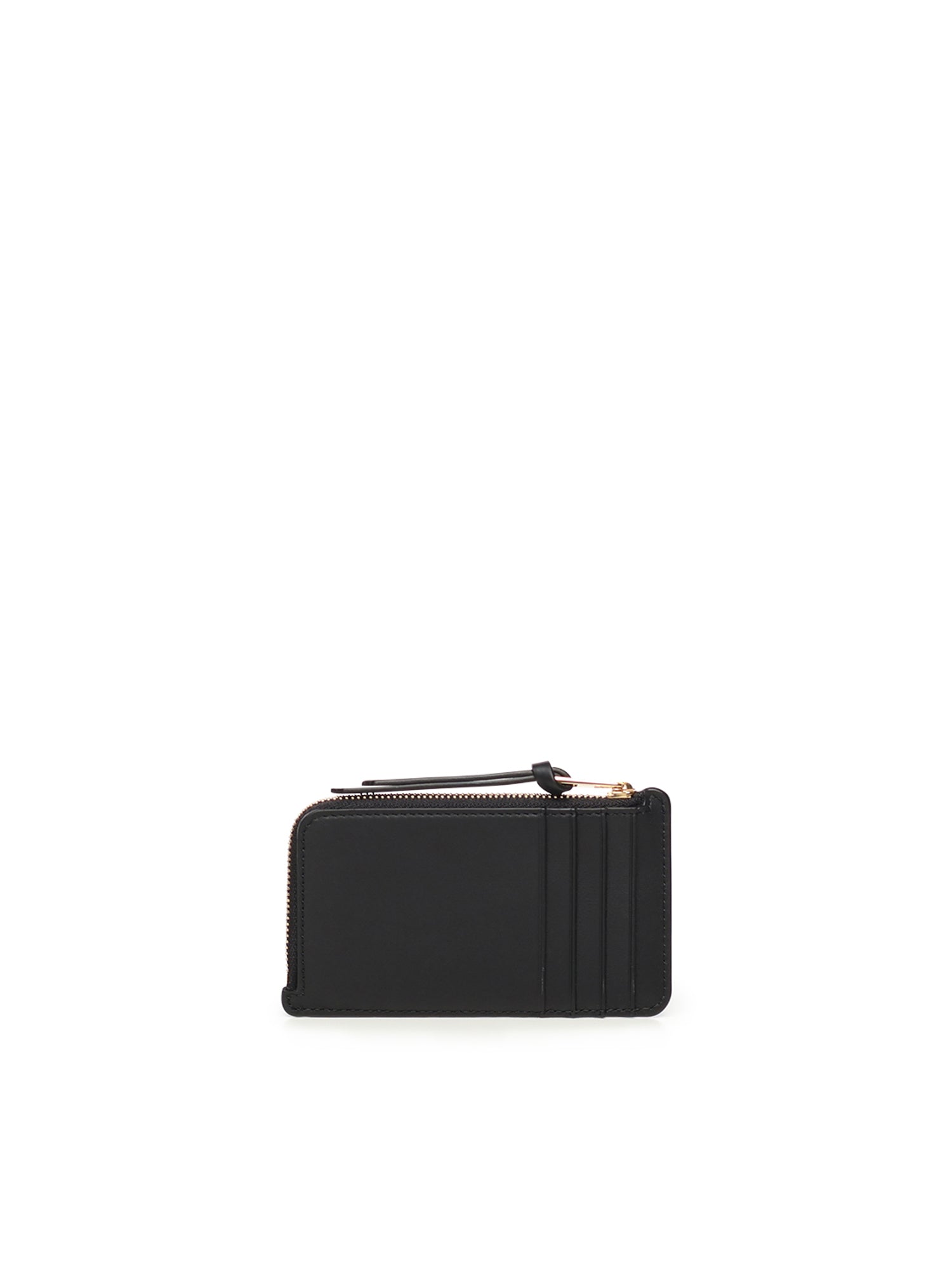 Portacarte con portamonete in nappa di vitello C643Z40XA7 1101 LOEWE 