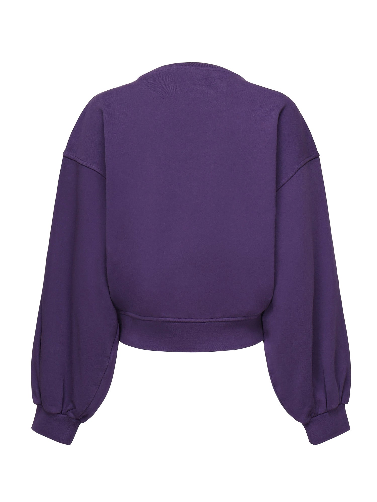 Felpa cropped con logo 105510 A2RBW79 PINKO 