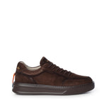 Sneaker Phoenix in suede BU3650A MORO/MORO BARRACUDA 