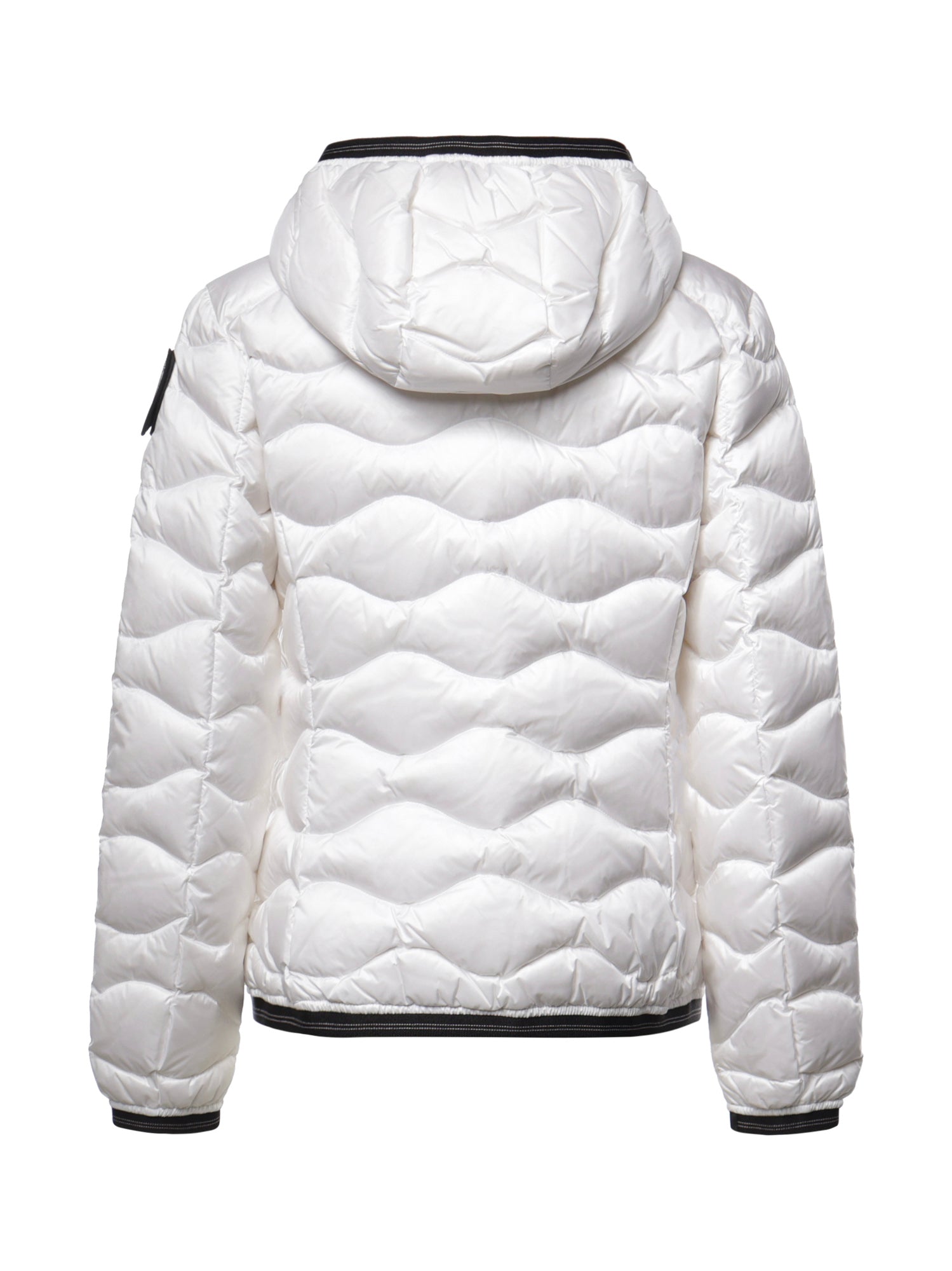 Piumino Camelia con logo 26WBLDC03033 006047100BI BLAUER 