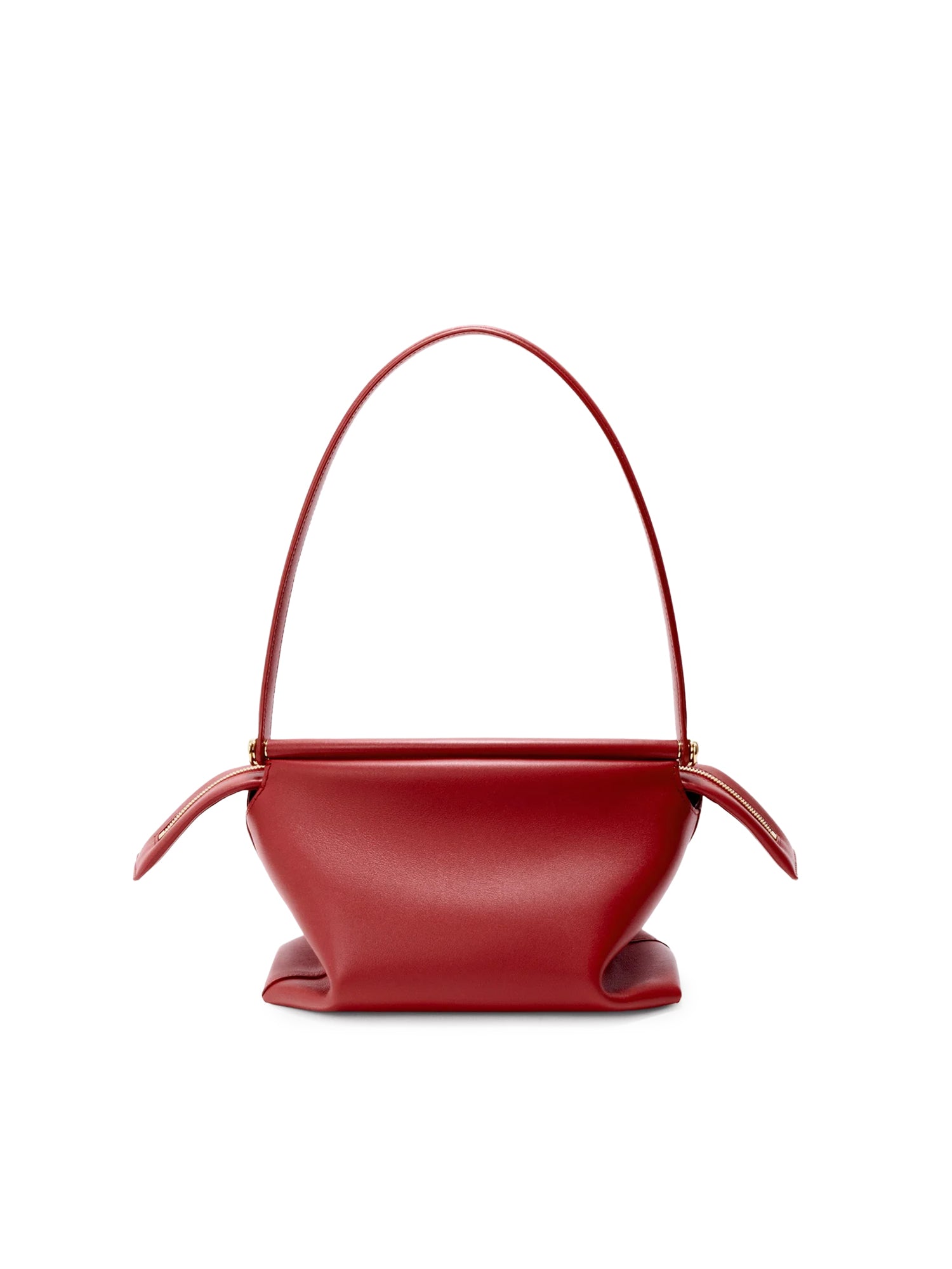 Borsa Whisker piccola in pelle di vitello smaltata ATBBTBBX01 0241 LOEWE 