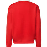 Felpa con stampa in misto cotone 211B17805 002 POLO RALPH LAUREN 