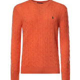 Pullover in lana e cashmere con logo 710876762 500 POLO RALPH LAUREN 
