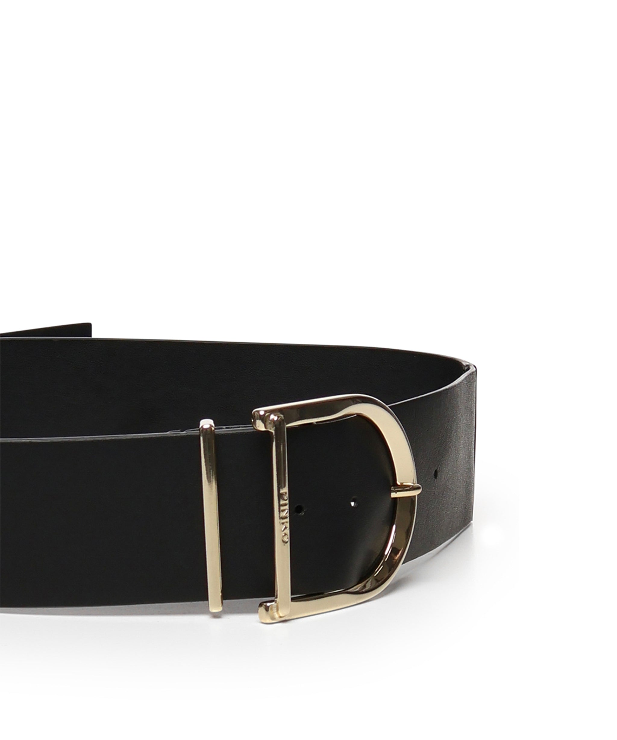 Cintura alta in pelle e nappa 6cm 105205 A2LYZ99L PINKO 