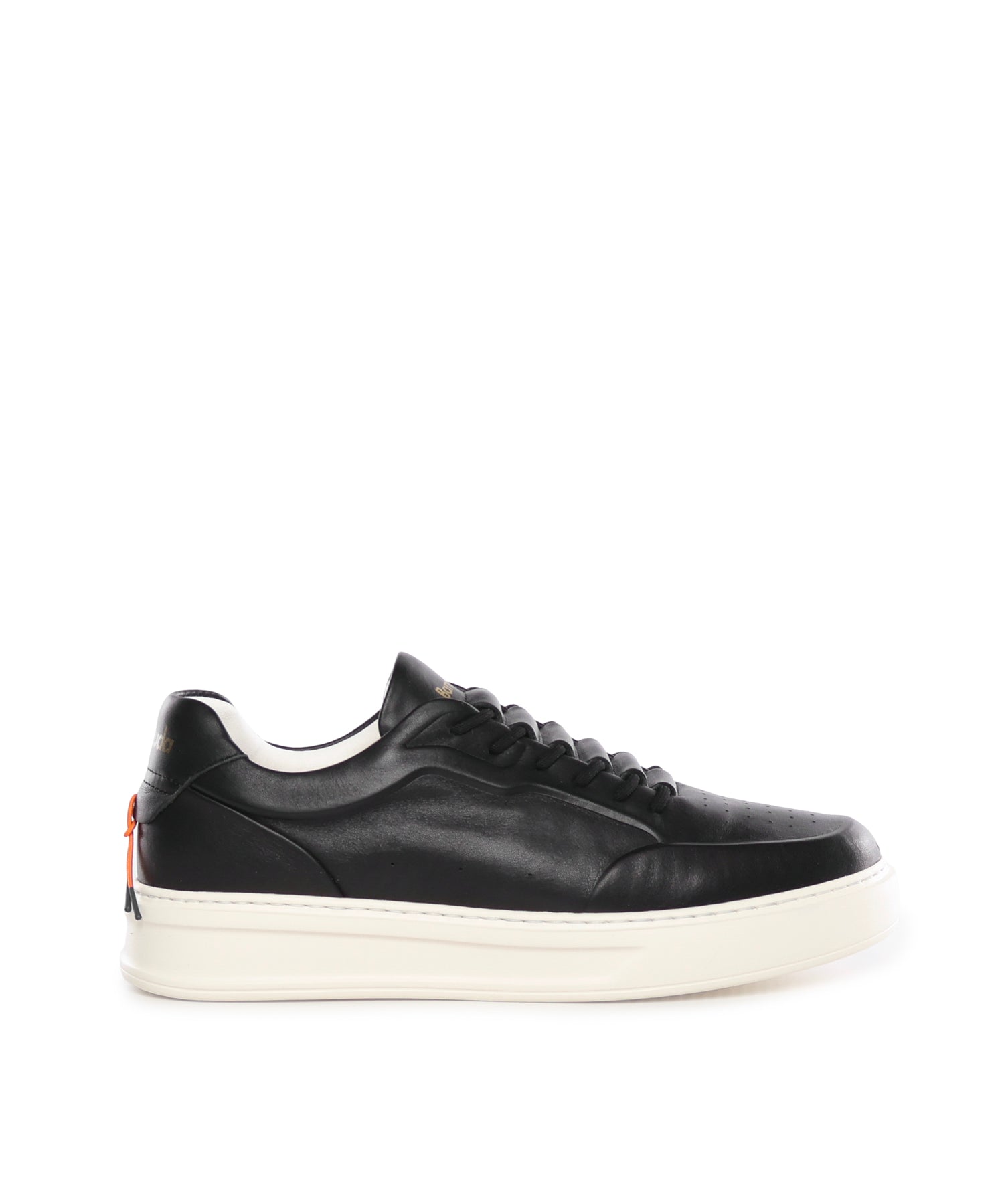Sneakers Phoenix BU3510 V2180 BARRACUDA 