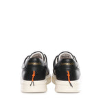 Sneakers Phoenix BU3510 V2180 BARRACUDA 