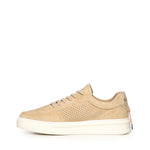 Sneaker Phoenix in camoscio BU3612 TABACCO BARRACUDA 