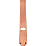 Cravatta in seta con stampa 351252 784138008 FERRAGAMO 