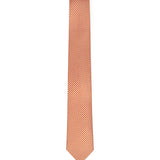 Cravatta in seta con stampa 351252 784138008 FERRAGAMO 