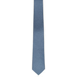 Cravatta in seta con stampa 351326 789076002 FERRAGAMO 