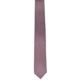Cravatta in seta con stampa 351326 789077003 FERRAGAMO 