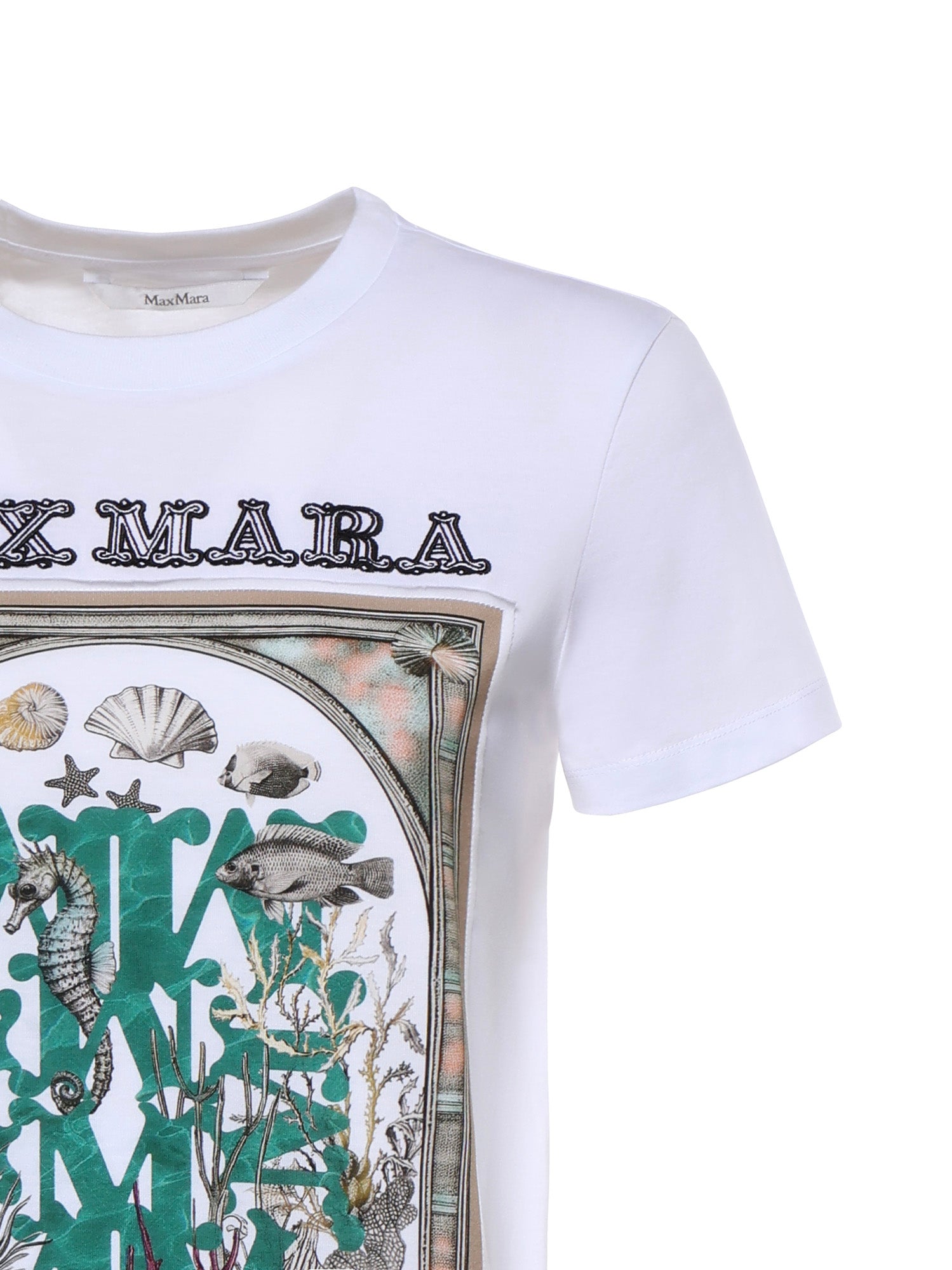 T-shirt in jersey di cotone 2611941062600 019 MAX MARA 