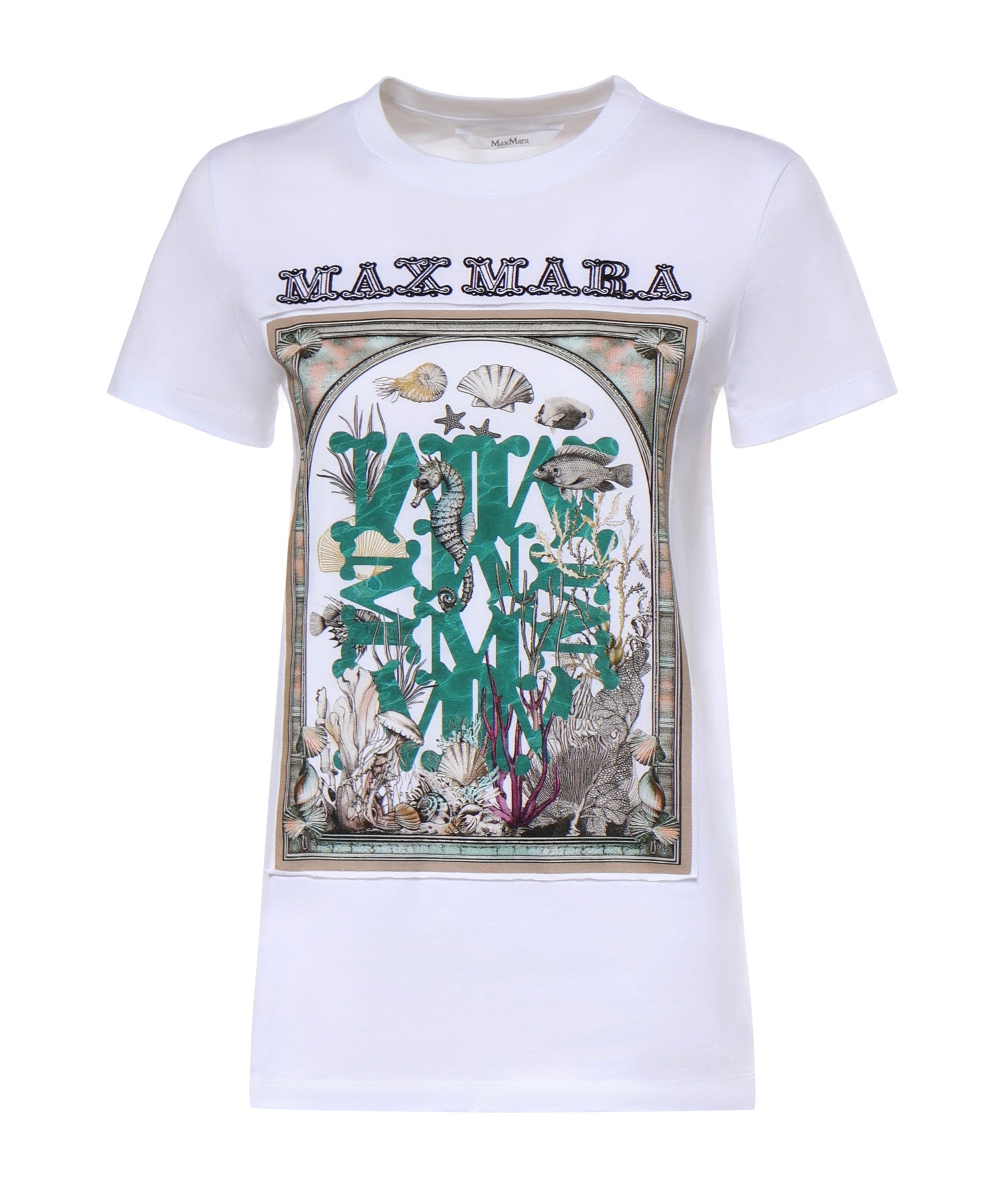 T-shirt in jersey di cotone 2611941062600 019 MAX MARA 