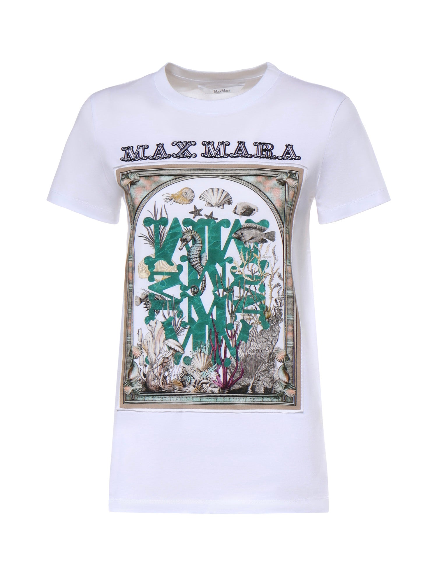 T-shirt in jersey di cotone 2611941062600 019 MAX MARA 