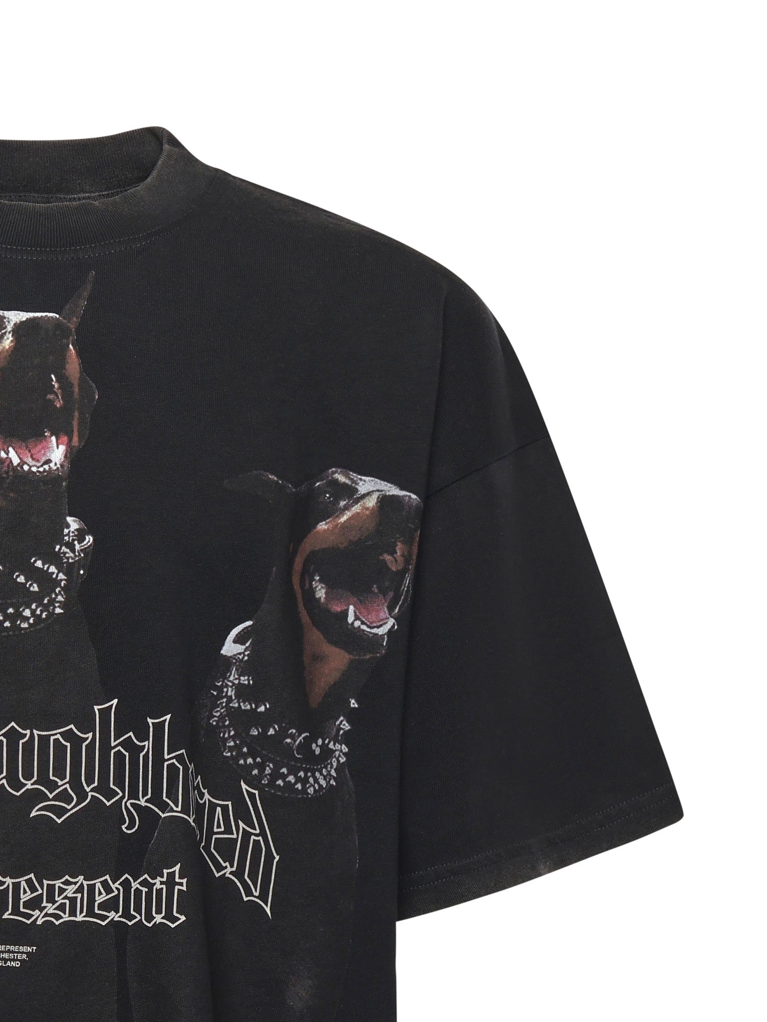 T-shirt Thoroughbred in cotone MLM41135 003 REPRESENT 