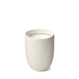 Candela profumata Ptolemy 300gr AHM02  AESOP 