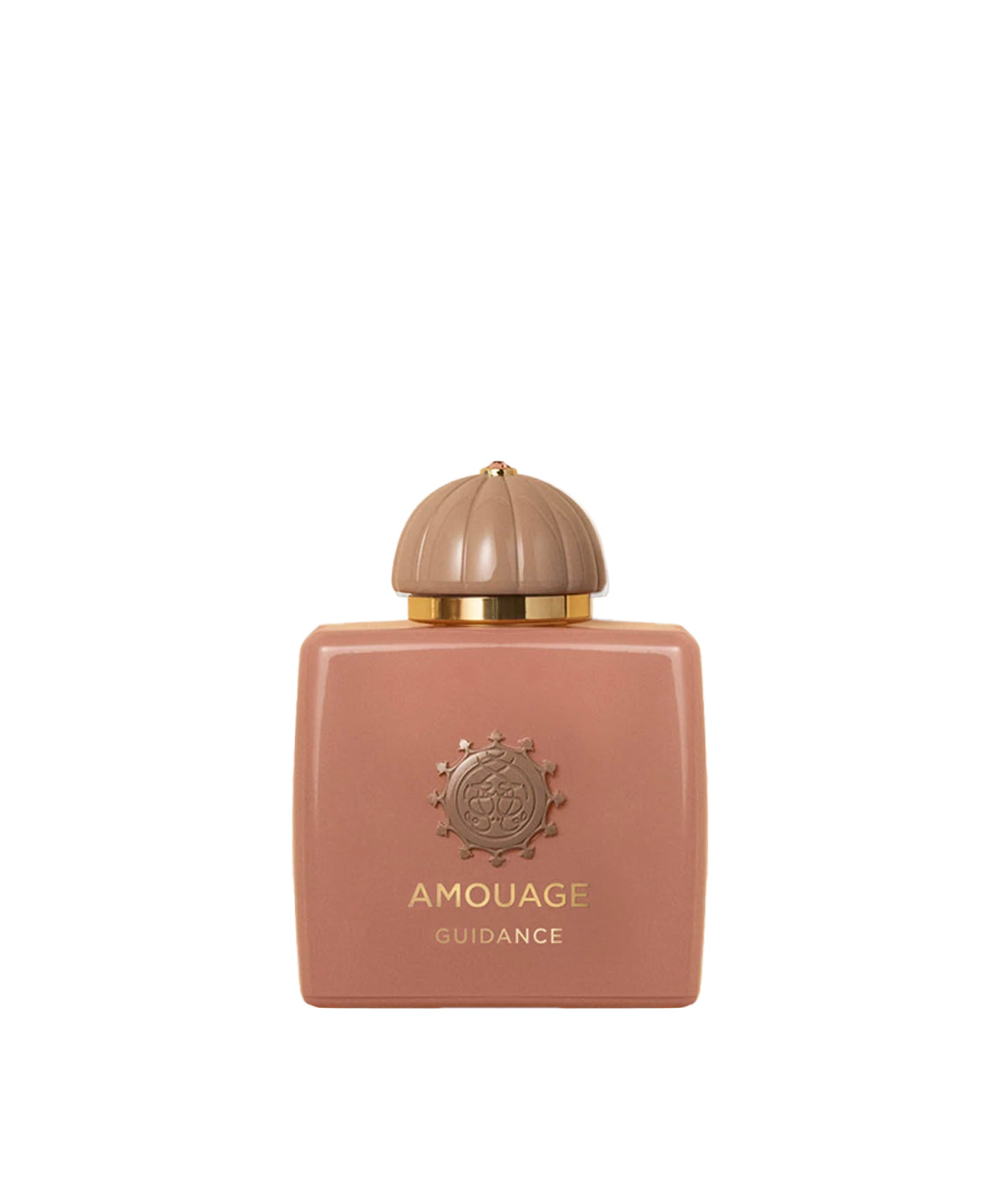 Amouage - guidance Edp 100 ml 0AMOEDP100GUIDANCE  AMOUAGE 