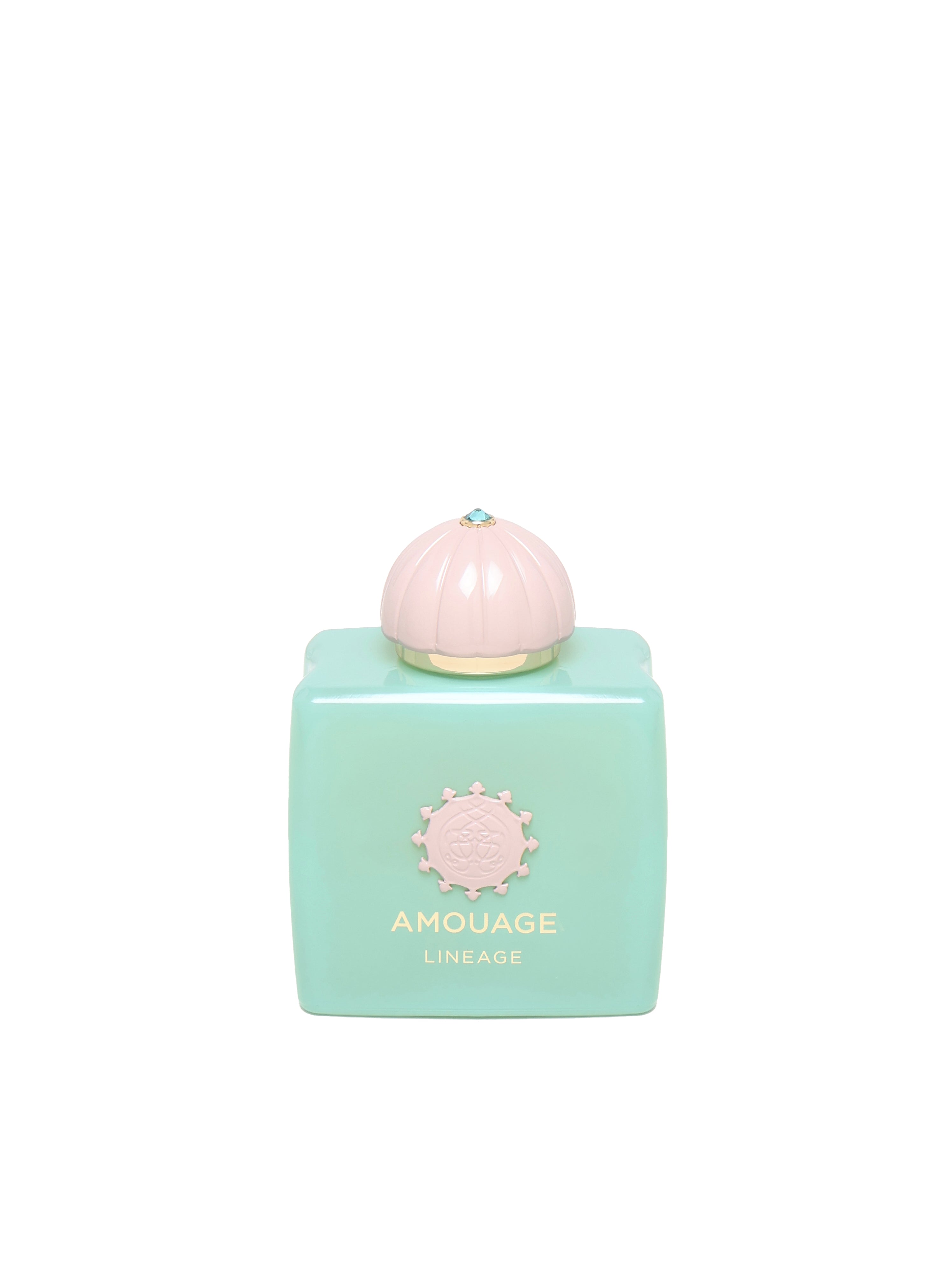 Amouage - lineage edp 100ml 0AMOEDP100LINEAGE  AMOUAGE 