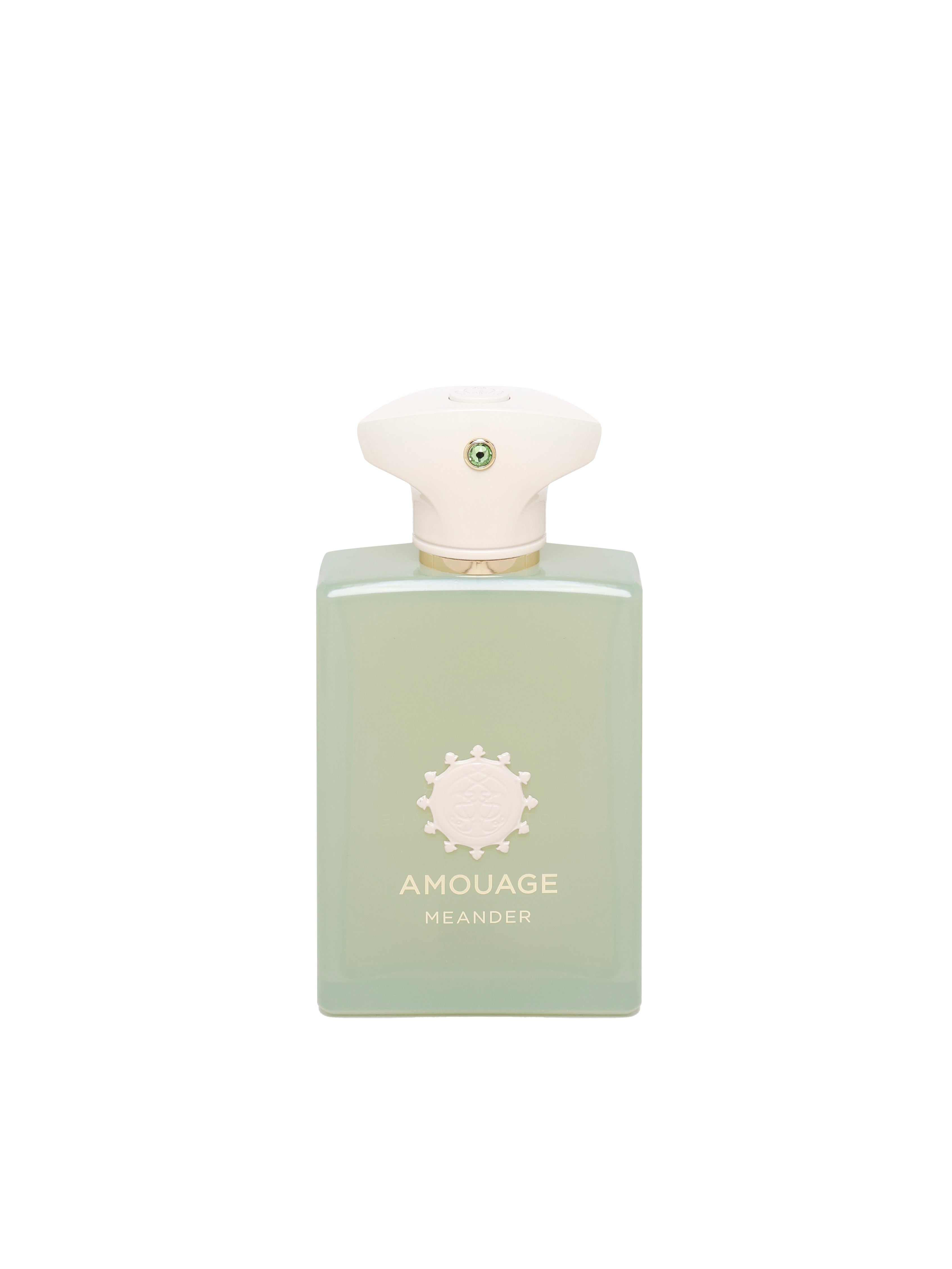 Amouage - meander edp 100ml 0AMOEDP100MEANDER  AMOUAGE 