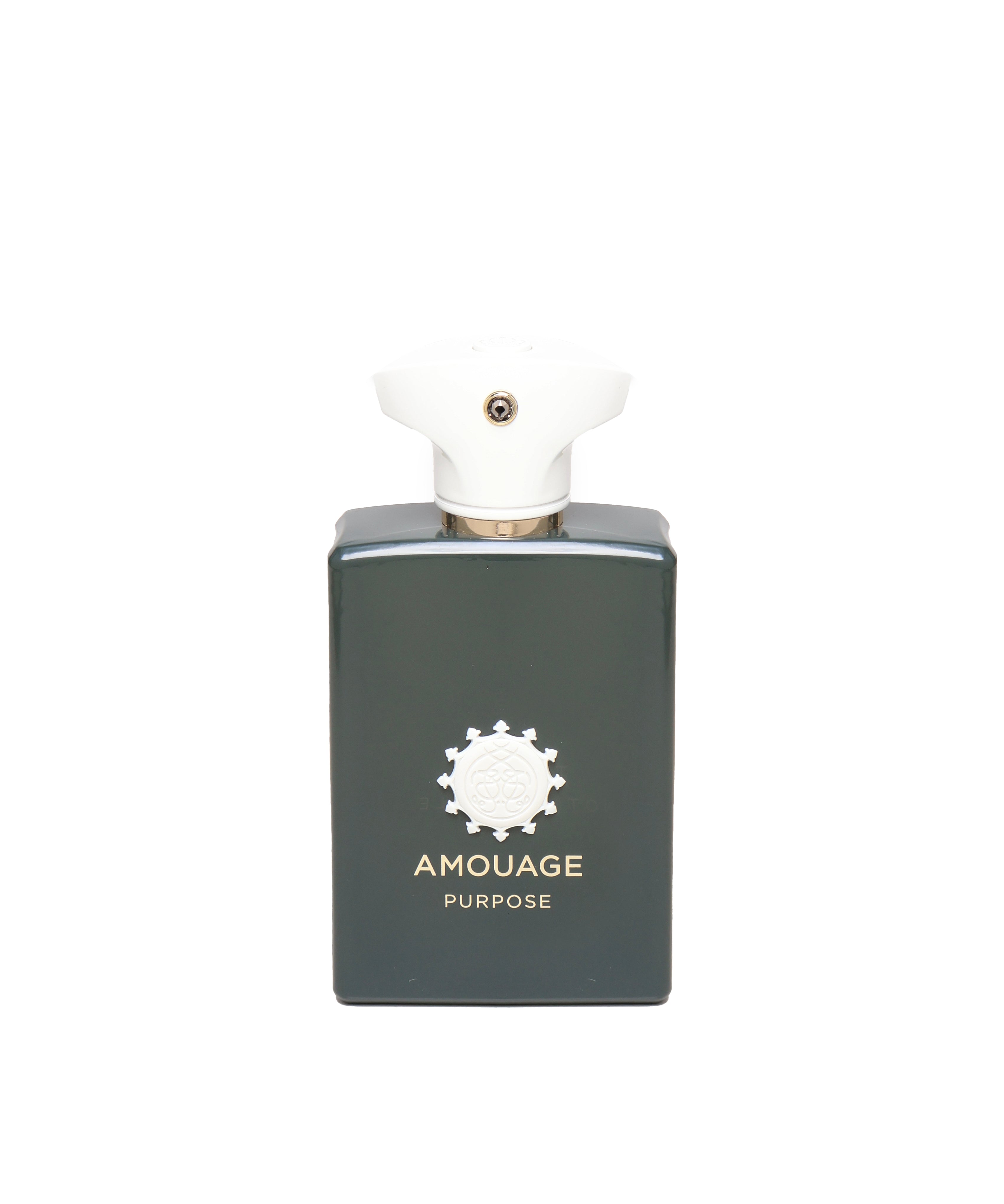 Amouage - purpose edp 100ml 0AMOEDP100PURPOSE  AMOUAGE 