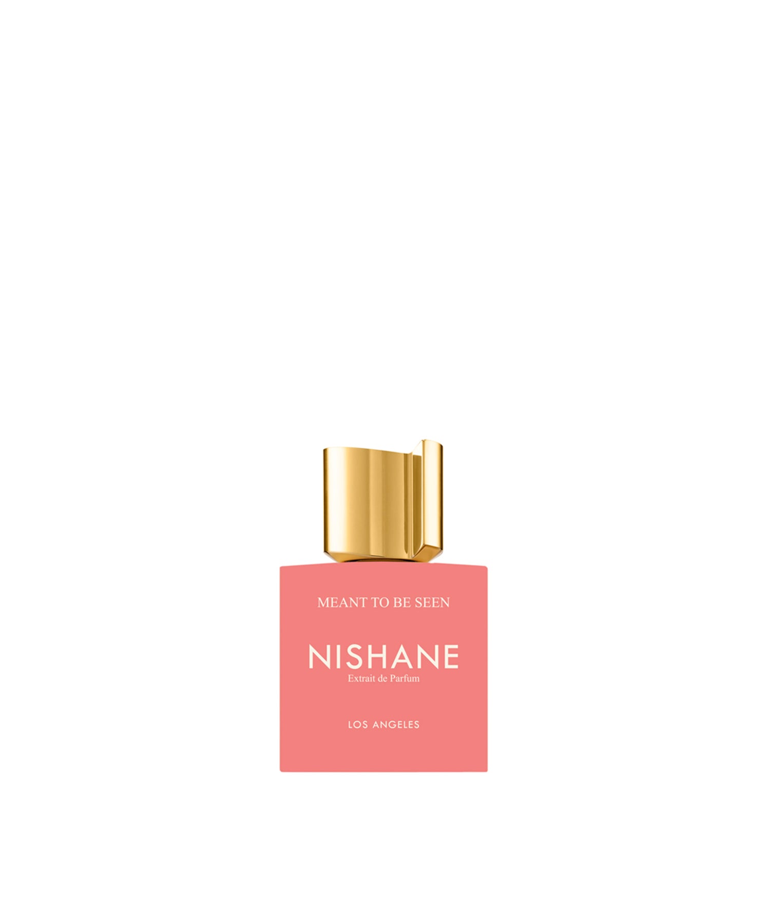 Nishane - Meant to be seen 50ml Extrait de Parfum NI0-47-002  NISHANE 