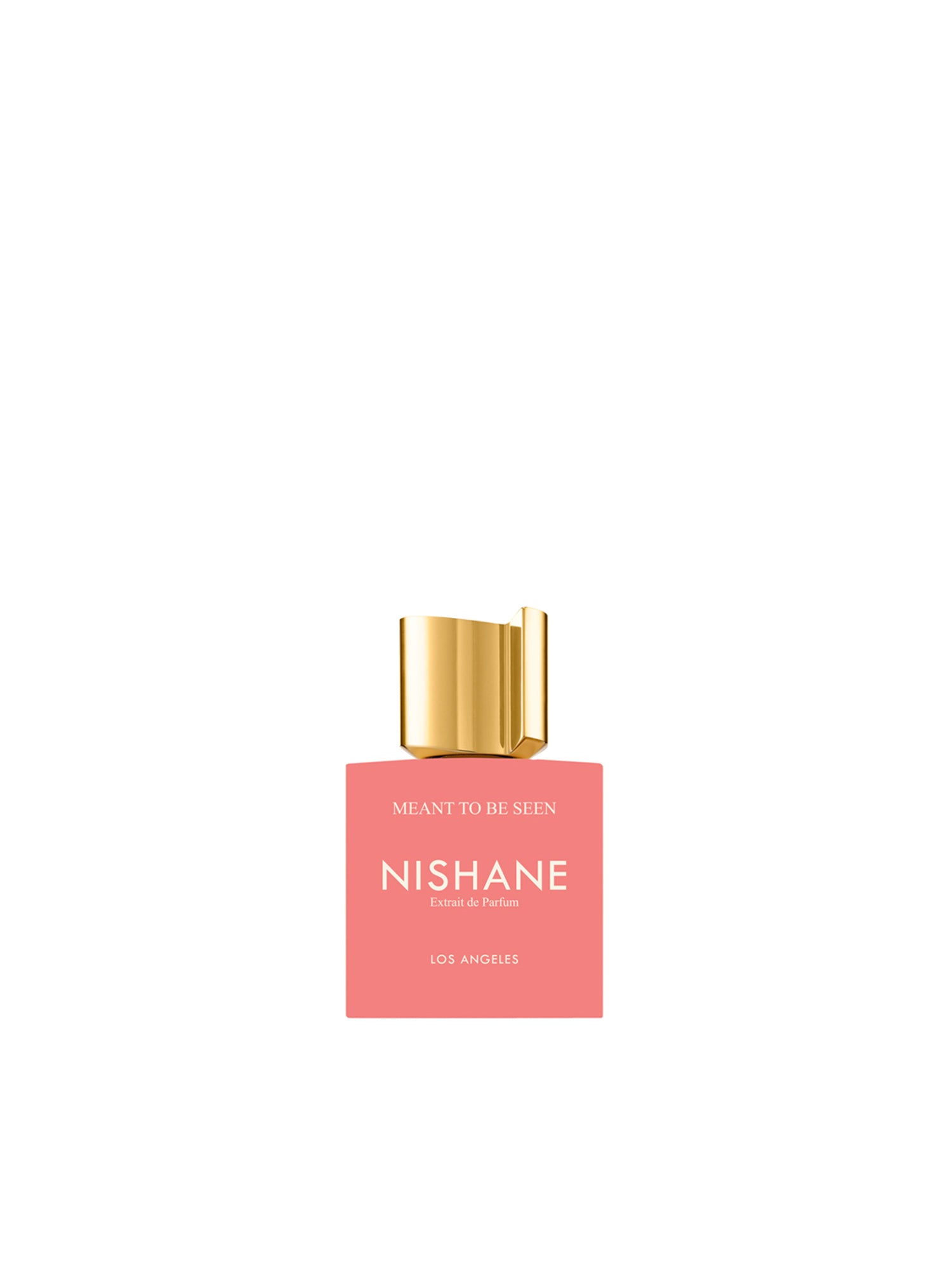 Nishane - Meant to be seen 50ml Extrait de Parfum NI0-47-002  NISHANE 