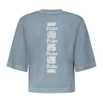 T-shirt Suez in cotone 104606 A2D0E63 PINKO 