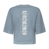 T-shirt Suez in cotone 104606 A2D0E63 PINKO 