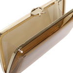Clutch Vetra in plexiglass B00386.CLUTC.PLXMEKO CLUT.PLX C PLEXYMEKONG GIANVITO ROSSI 