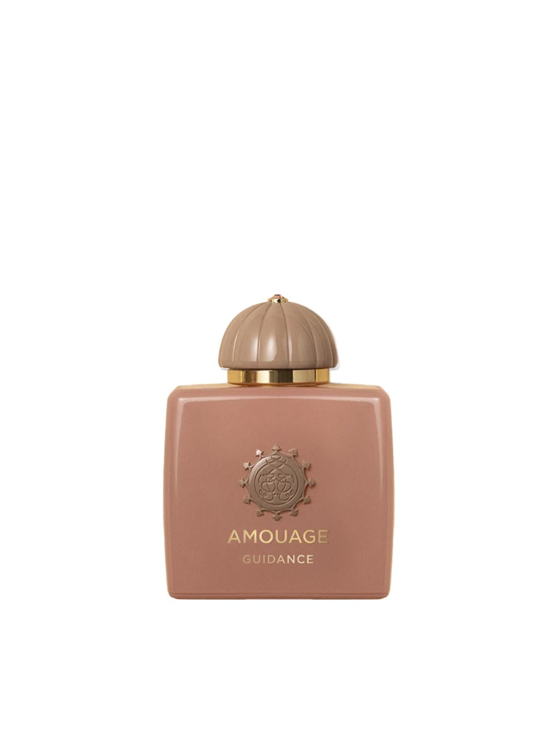 Amouage - guidance Edp 100 ml 0AMOEDP100GUIDAN  AMOUAGE 