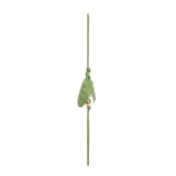 Ciondolo Pea pod C621232XG7 3737 LOEWE 