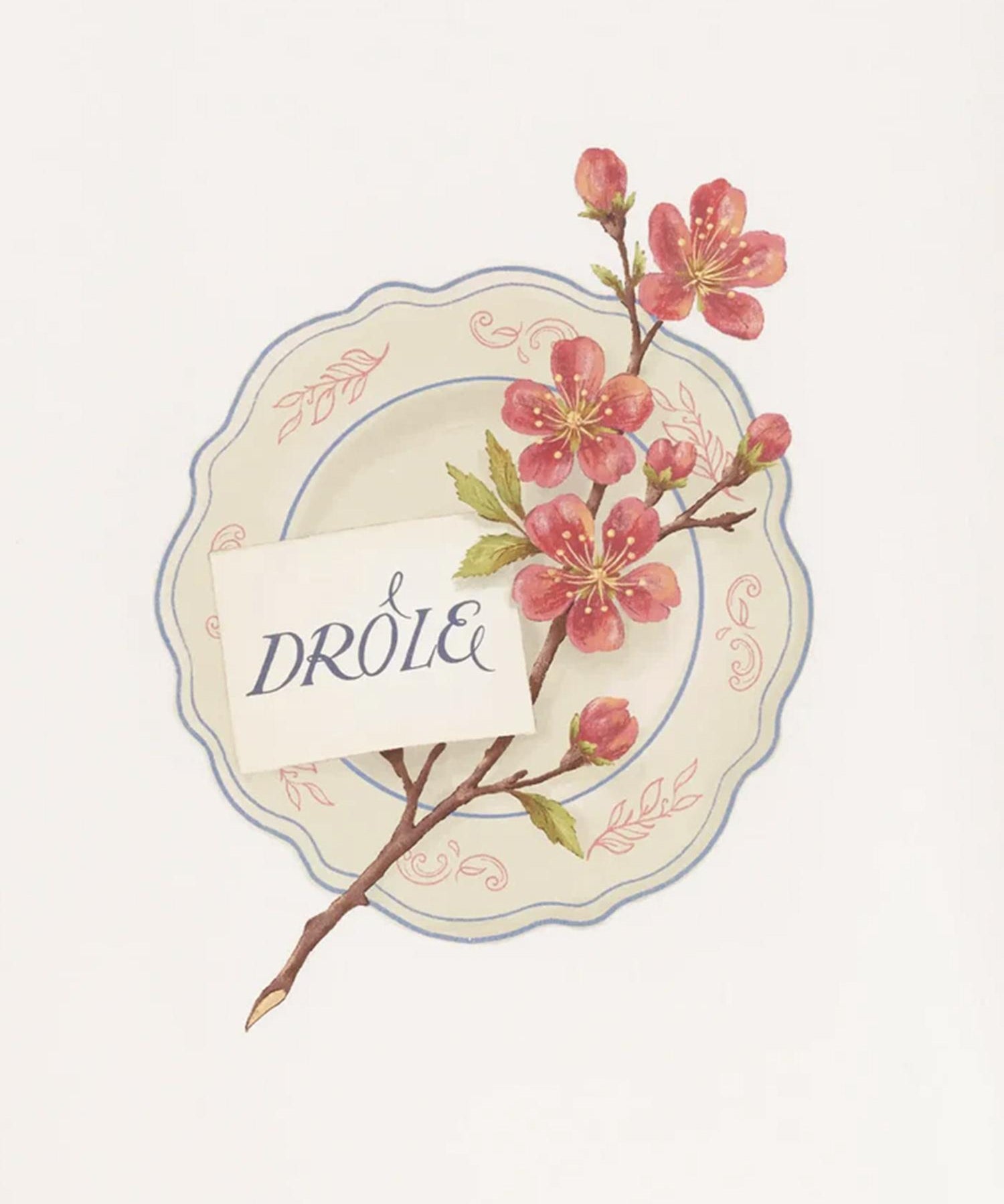 T-shirt Drôle Porcelaine in jersey LTS329CO248 OW Drôle de Monsieur 