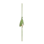 Ciondolo Pea pod C621232XG7 3737 LOEWE 