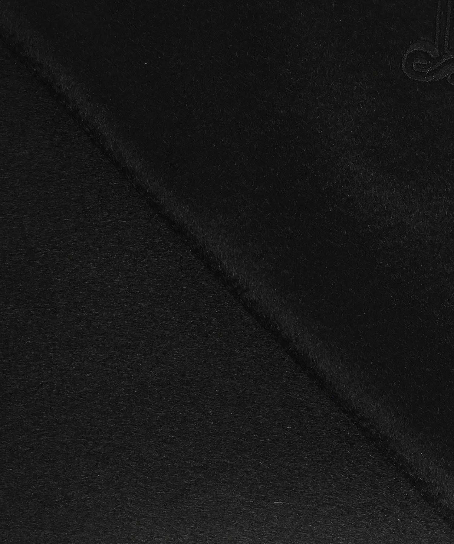 Sciarpa in cashmere WsDalia 2524546311600 008 MAX MARA 