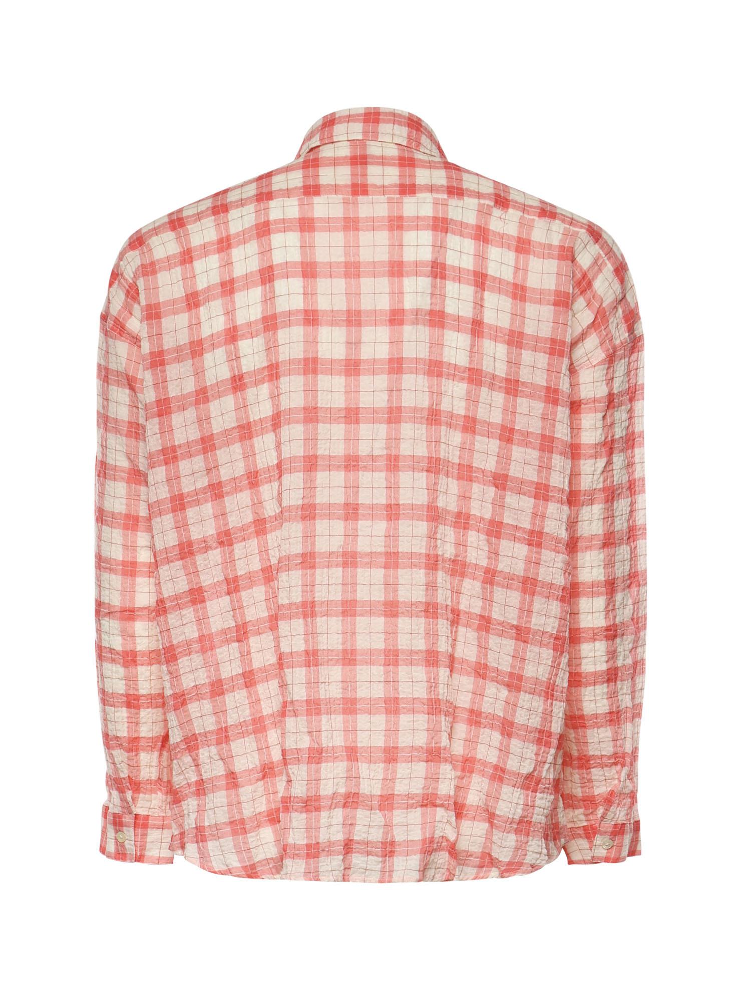 Camicia Stable in cotone 1314  SUNFLOWER 