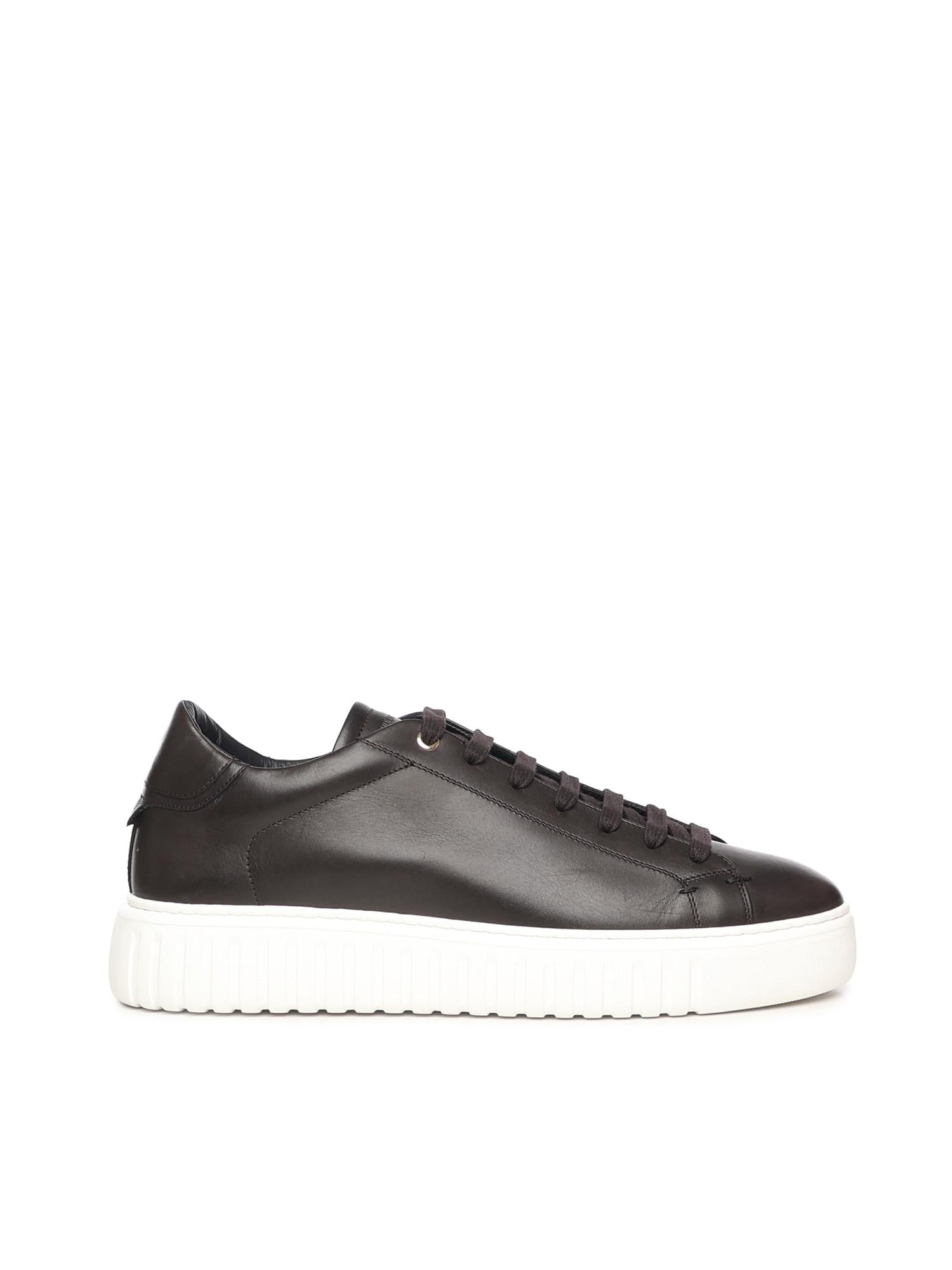 sneakers Mars in pelle MARS NAPPABROWN GIULIANO GALIANO 