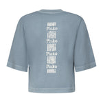 T-shirt Suez in cotone 104606 A2D0E63 PINKO 