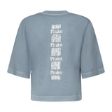 T-shirt Suez in cotone 104606 A2D0E63 PINKO 