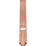 Cravatta in seta con stampa 351252 784138008 FERRAGAMO 