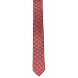 Cravatta in seta con stampa 351310 788870004 FERRAGAMO 