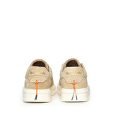 Sneaker Phoenix in camoscio BU3612 TABACCO BARRACUDA 