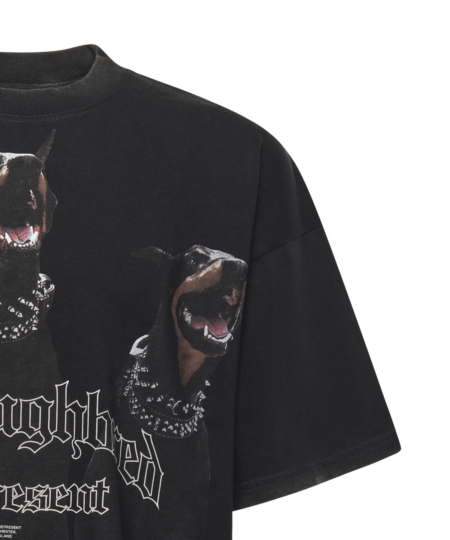 T-shirt Thoroughbred in cotone MLM41135 003 REPRESENT 