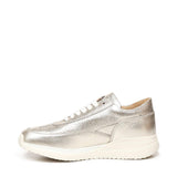Scarpa Dollaro HD66700DL038  PACIOTTI 