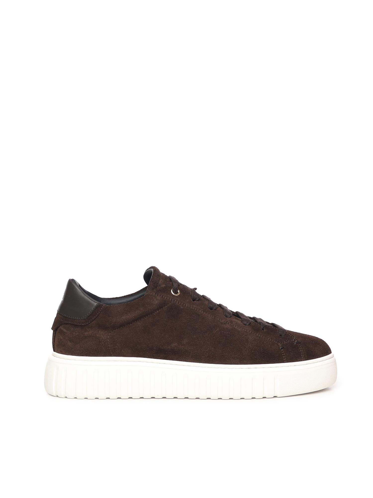 Sneakers Mars in camoscio MARS CAMISCIODARK BROWN GIULIANO GALIANO 