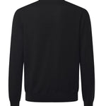Maglione in lana 14290 55167099 GALIANO 