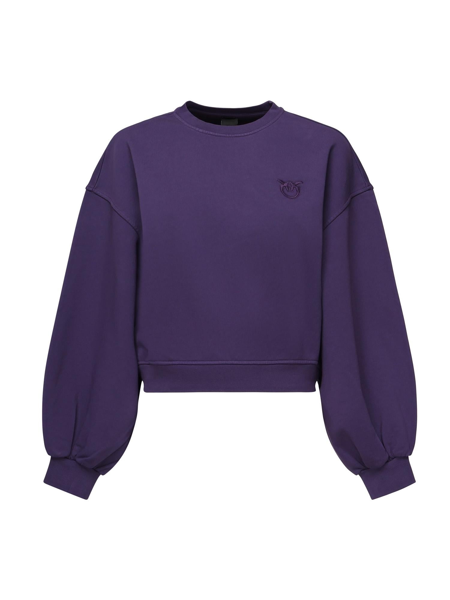 Felpa cropped con logo 105510 A2RBW79 PINKO 