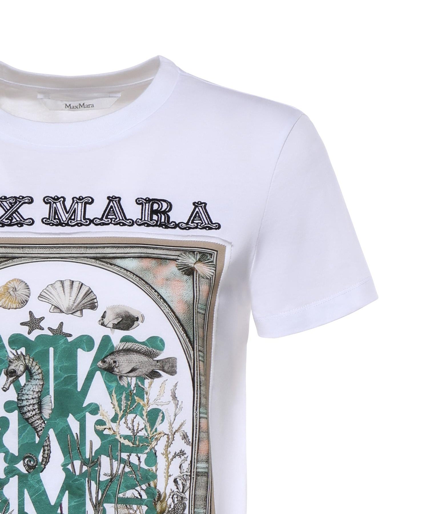 T-shirt in jersey di cotone 2611941062600 019 MAX MARA 